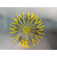 ресничка пиона желт 76.550